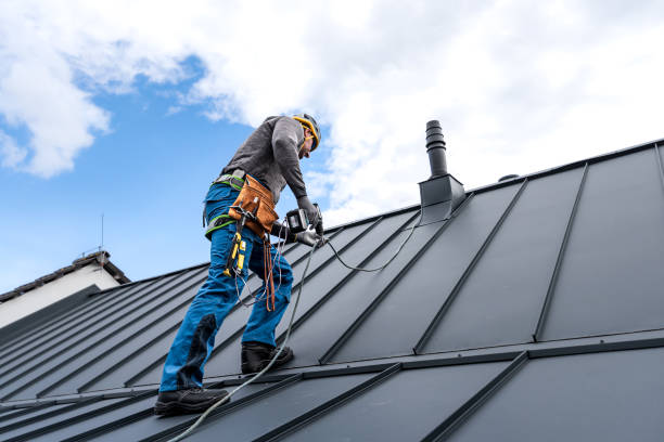 Best Roof Maintenance and Cleaning  in Loveland, OH